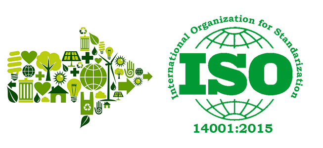 ISO 14000 là gì? Tổng quan và Lợi ích của Hệ thống Quản lý Môi trường ISO 14000