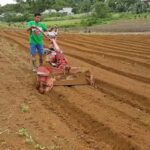 Đặc điểm đất phù sa và ứng dụng với nông nghiệp