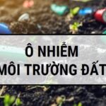 Ô nhiễm môi trường đất là gì ? các nguyên nhân